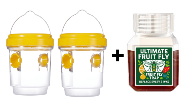 🐝Napenergiával működő függő darázscsapda