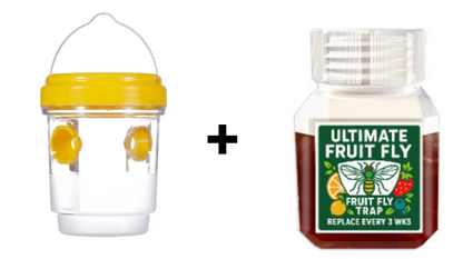 🐝Napenergiával működő függő darázscsapda