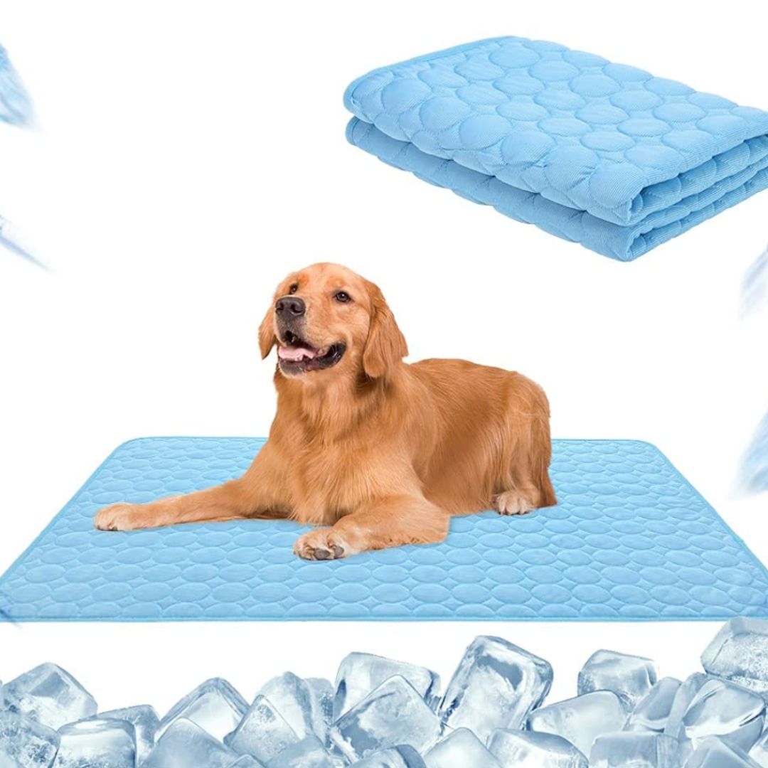 🐶🧊Prémium hűtőszőnyeg háziállatoknak